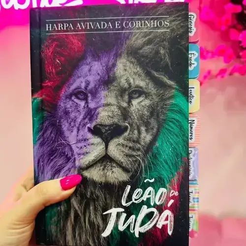 Foto do produto Bíblia Sagrada Leão de Judá Colorido com Harpa e Abas